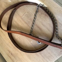 Horse Show Lead