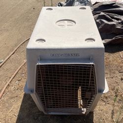 Dog kennel cage