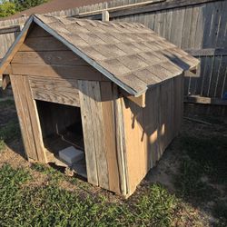 Dog House