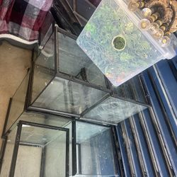 Reptile Fish Tank