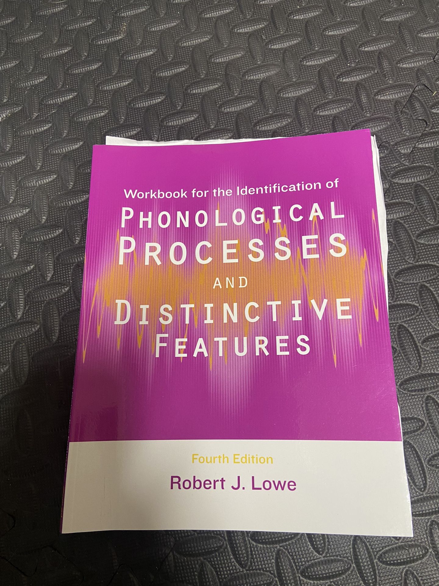 Phonological Processes And Distinctive Features