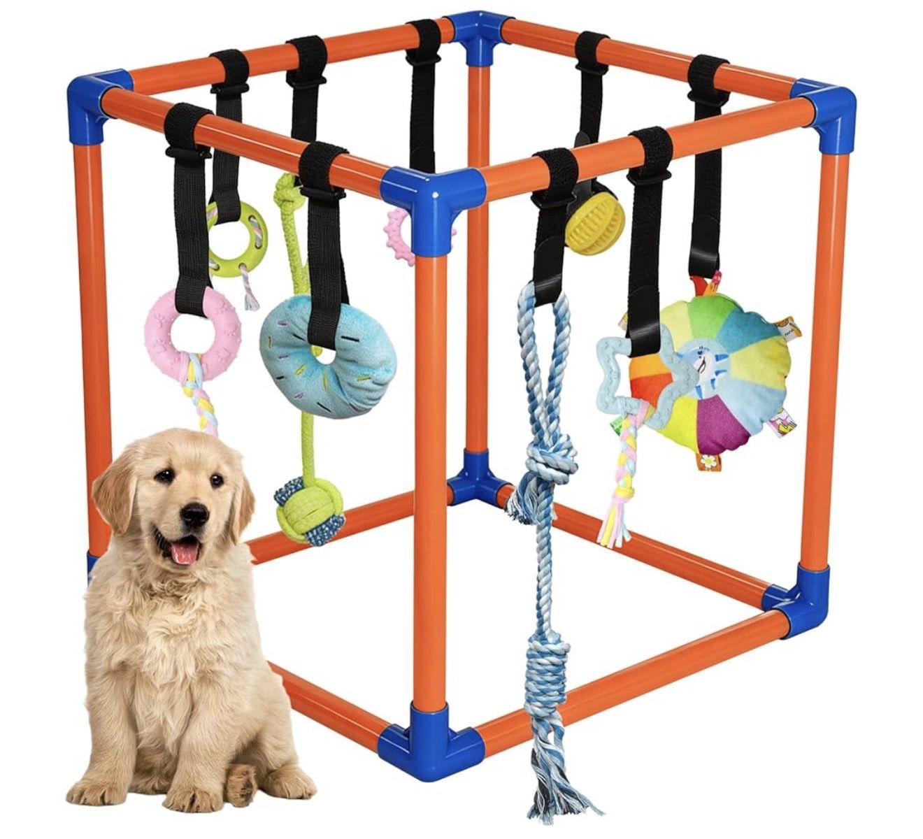 Puppy Play Gym