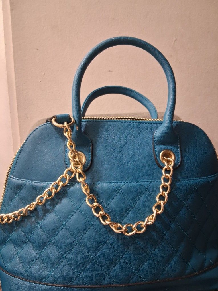 Gorgeous Bag Some Damage USED.