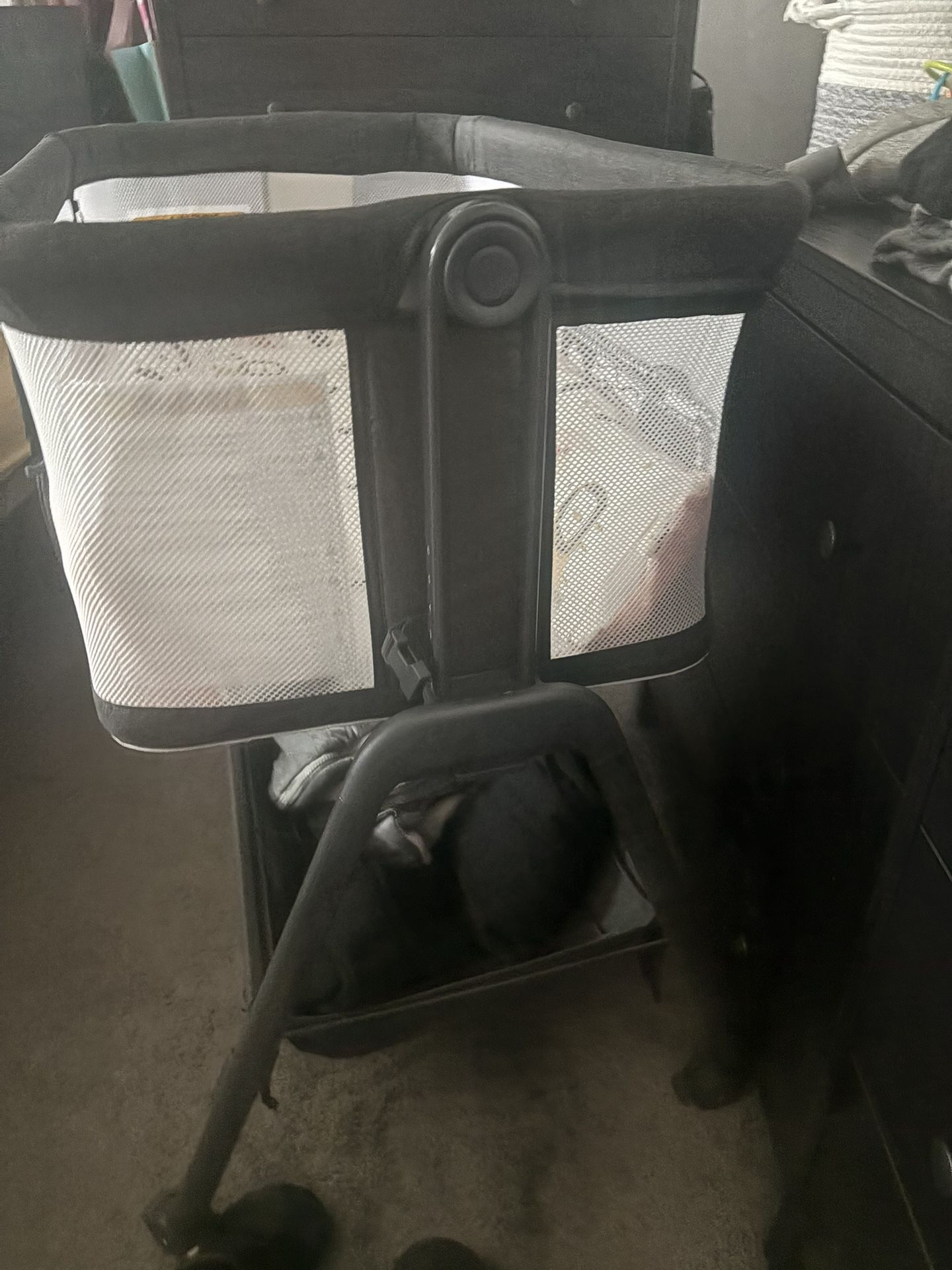Angel Bliss Bassinet