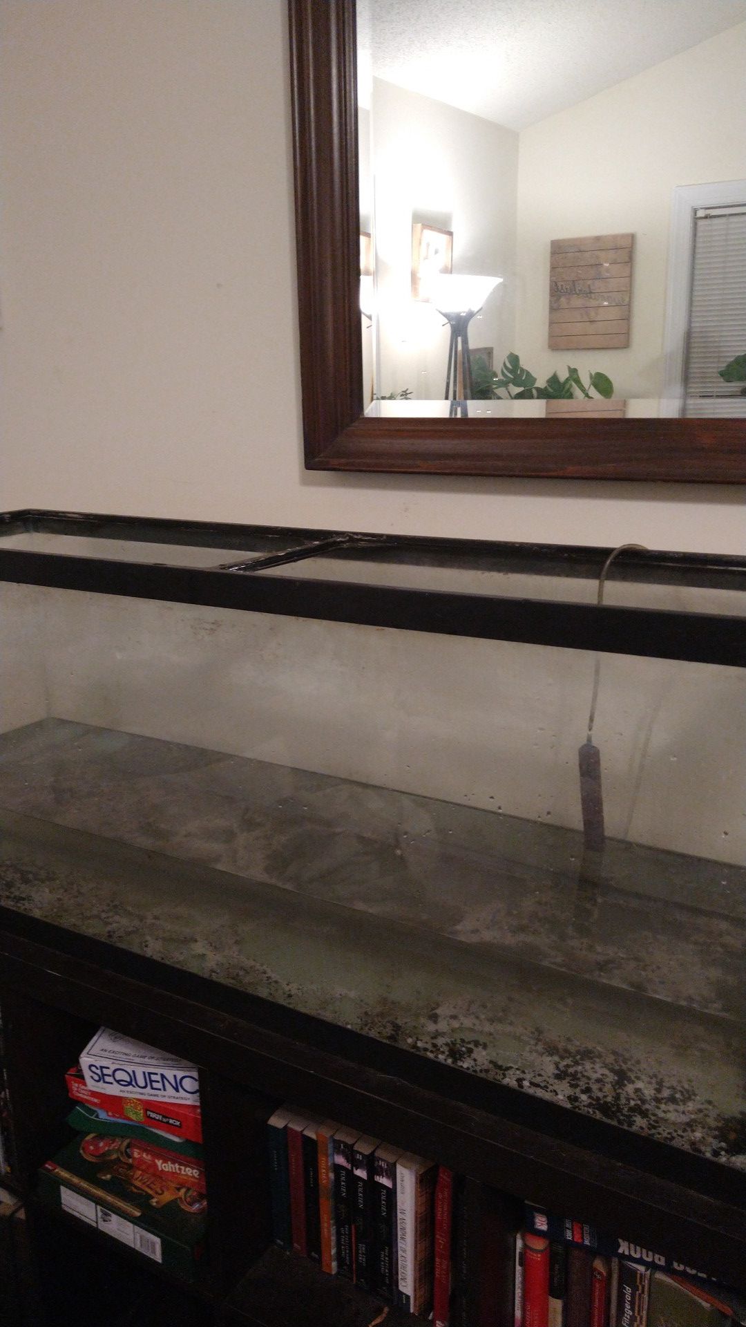 55 gallon fish/reptile tank