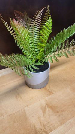 New,world Market decorative plant 🪴