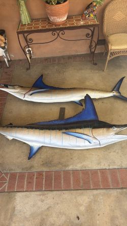 Marlin Fishes