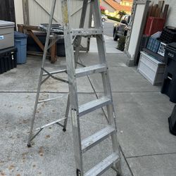 6 ft Ladder
