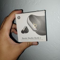 Beats Studio's Buds +