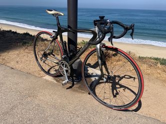 Orbea orca. 20 speed 51 c lightweight carbon fiber frame with Campagnolo chorus components and Campagnolo rims
