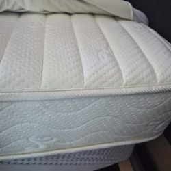 Two Twin Mattresses W/cover