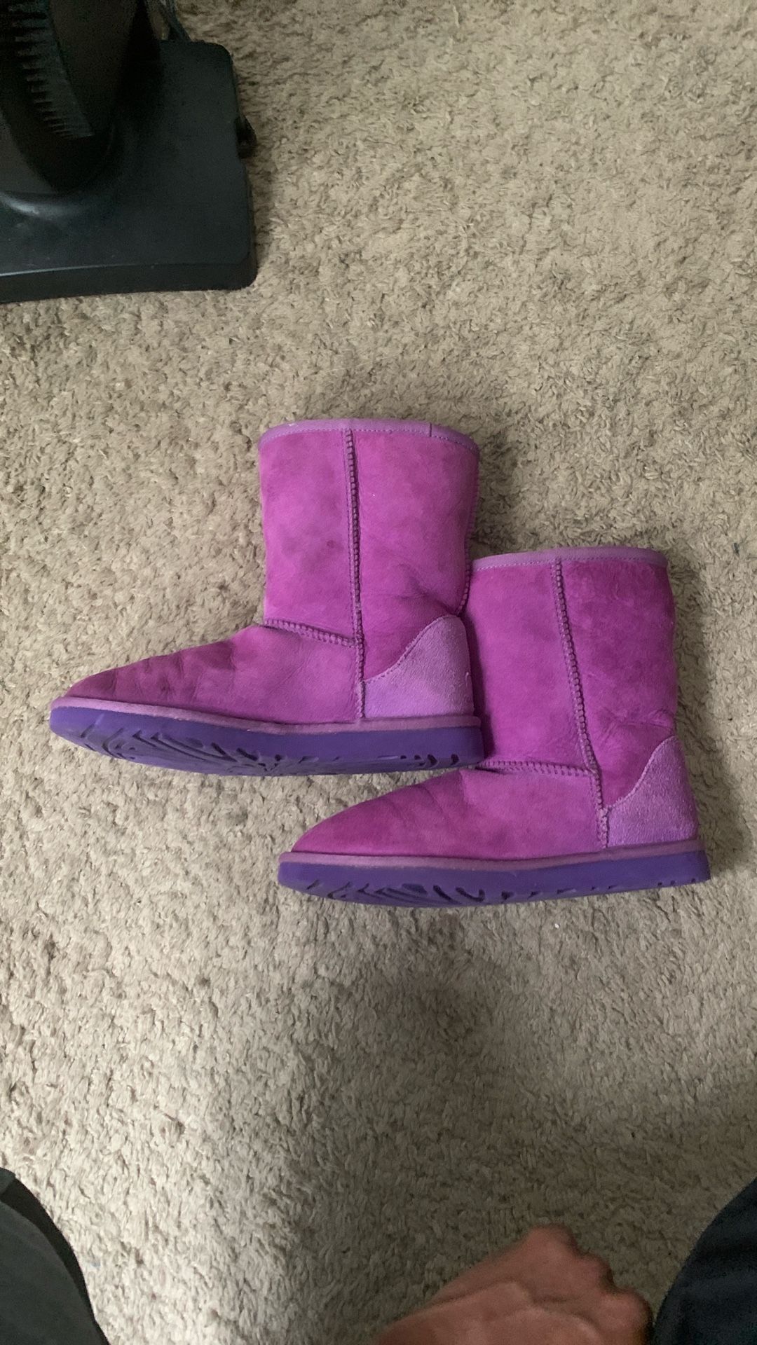 Purple Uggs