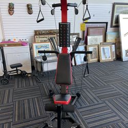 Bowflex PR3000 home workout exercise machine