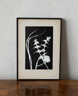 Vintage Photogram 