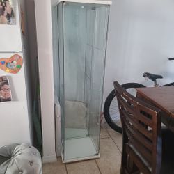Glass Case & Chair