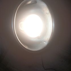 Bearded Dragon Night Light(Uvb) And Daylight(UV) And Feeding Tray 