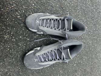 Jordan 14s