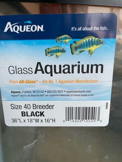 Glass Aquarium