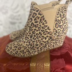 Women Tom’s Kelsey Suede Boots