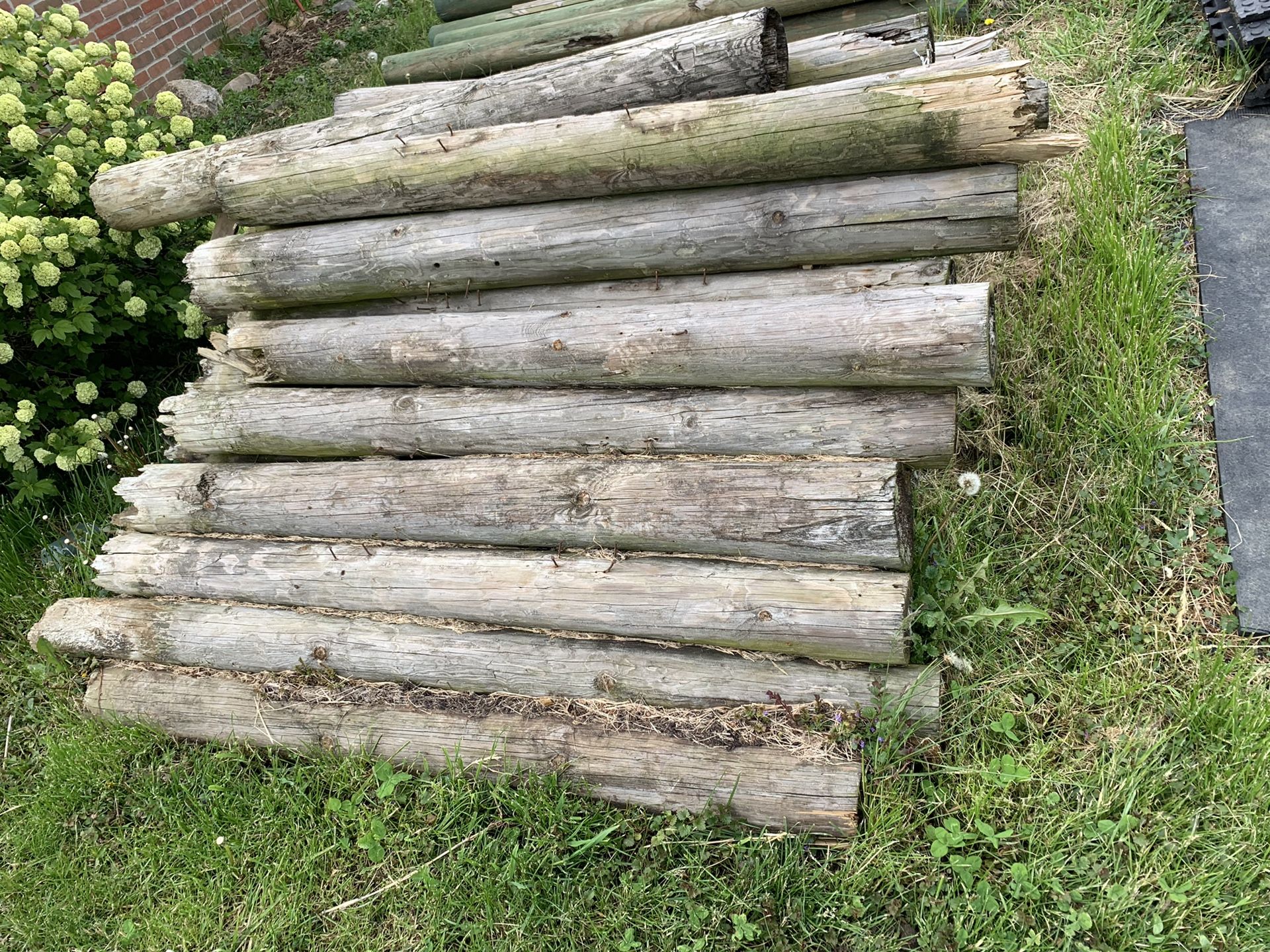 Old fence posts