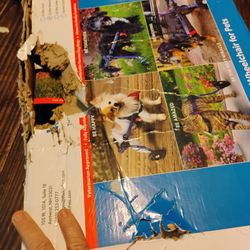 Mini Adjustable Wheelchair for Pets (B2 Minnie Medium) 