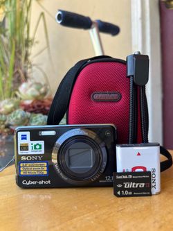 Sony Cyber-shot DSC-W290 12.1MP Digital Camera - Black