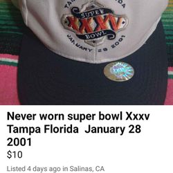 Super bowl Xxxv Tamp Florida January 28 2001 White Snap On Hat
