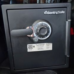 Sentry Safe