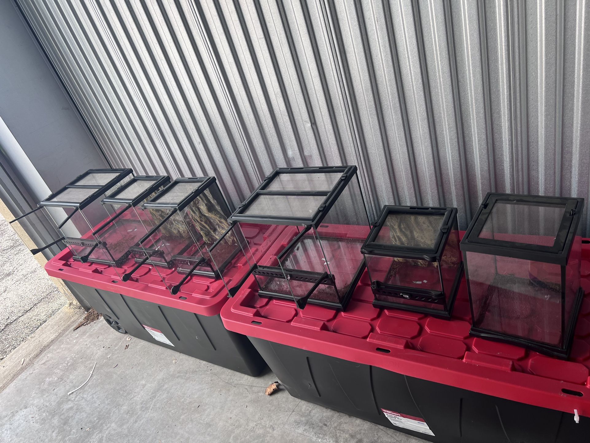 Exo-Terra Glass Terrariums For Sale