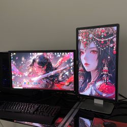 Dell 24 And 22 Inch Monitor Set Together For $30