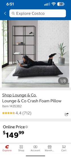 Giant Beanbag Pad Chair Thing
