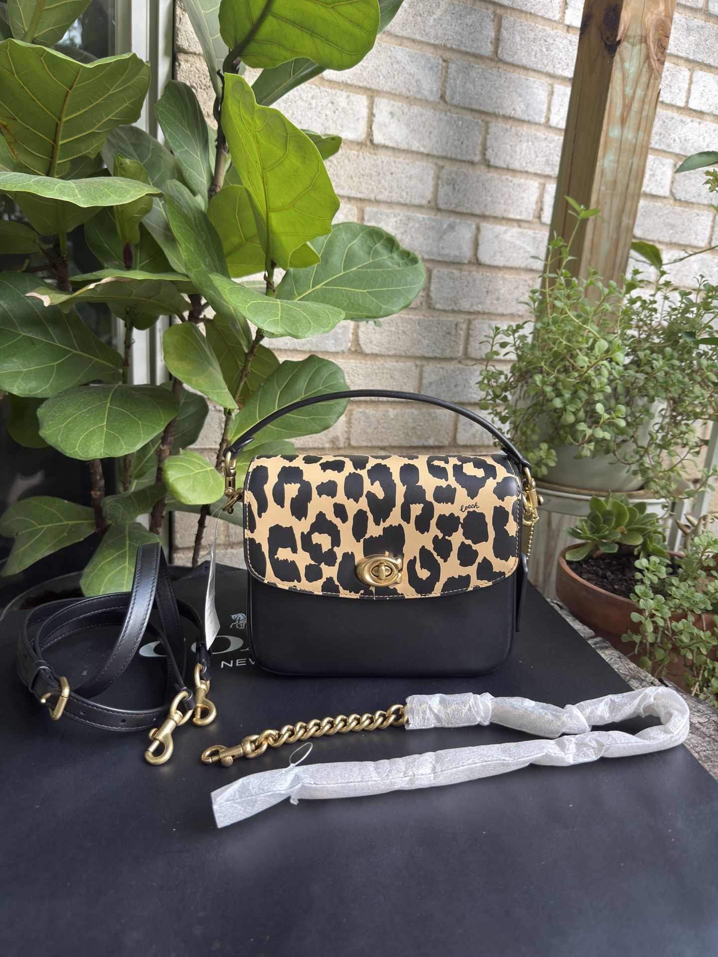Coach Cassie 19 Crossbody Bag With Leopard Print