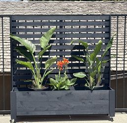 Wood Planter