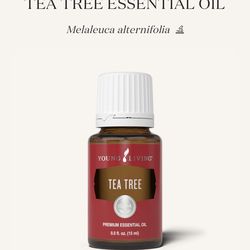 (2) Tea Tree 15ml Young Living Essential Oils