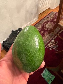 Fresh Large Green Avocado