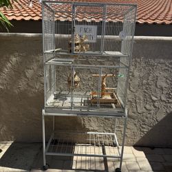 Sturdy Bird Cage 