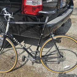 Raleigh Capri 