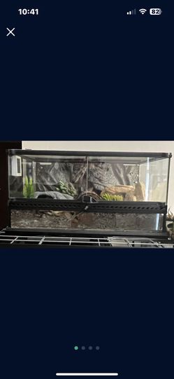 Exo terra 24”x18”x12”