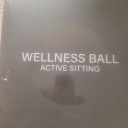 Wellness Ball 