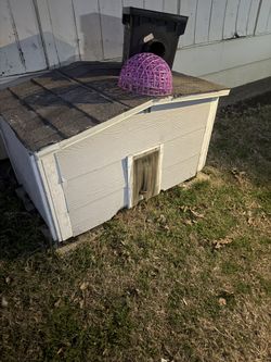 Dog House