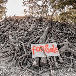 Citrus Firewood 