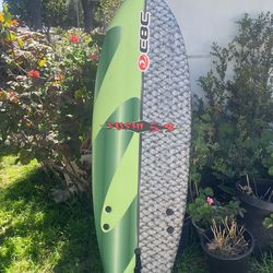 Sushi 5.8 Surfboard