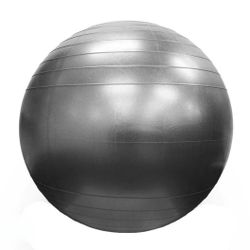 Exercise Trainer Ball
