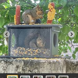 Amish Made Squirrel Feeder
