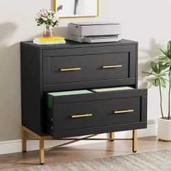2 Drawer File Cabinet, Modern Lateral Filing Cabinet for Letter/Legal/A4 Size, Printer Stand with Storage, Black & Gold.