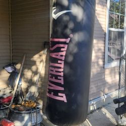 Everlast Punching Bag 