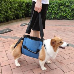 Doggy Sling Support For Your Furry Pal