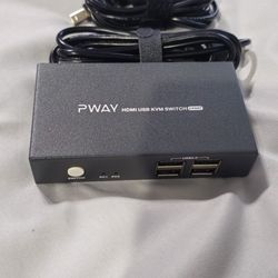 PWAY KVM switch 