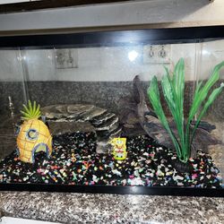 Fish Tank 10 Gallon 