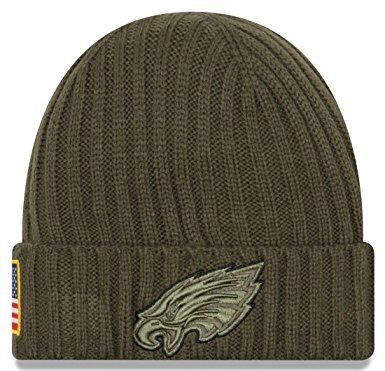 Veterans Day Eagles hat